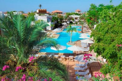marmara hotel & resort