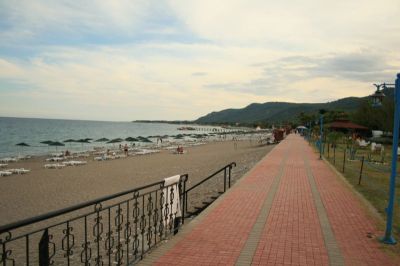 anita venus beach