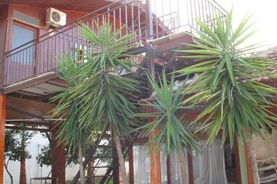 river park hotel