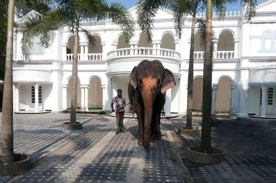 bougain villa guest