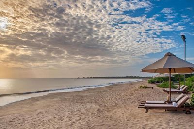 jungle beach resort