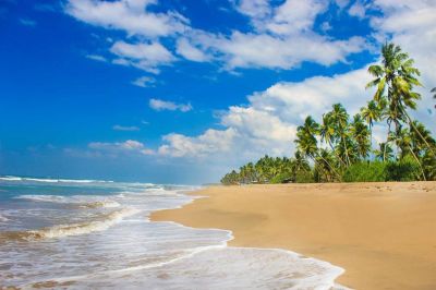 wadduwa beach resort