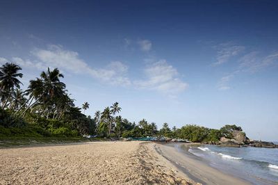 calamansi cove by jetwing