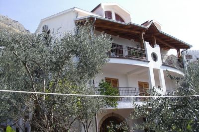 zivkovic