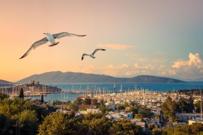 tui fortune bodrum 5*