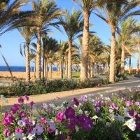 Brayka Bay Resort Marsa Alam