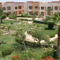 blue reef red sea resort