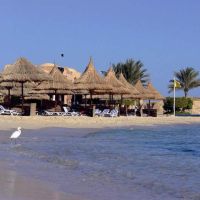 movenpick resort el quseir