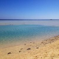 blue reef red sea resort