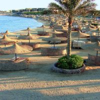 elphistone resort marsa alam