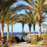 Brayka Bay Resort Marsa Alam