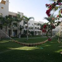 marina lodge at port ghalib