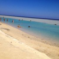 blue reef red sea resort