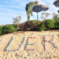 blue reef red sea resort