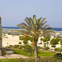 solitaire resort marsa alam