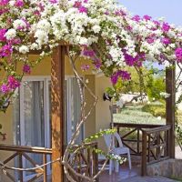 solitaire resort marsa alam
