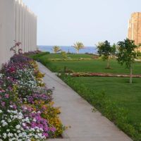brayka royal beach resort