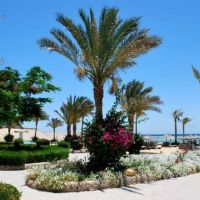 elphistone resort marsa alam