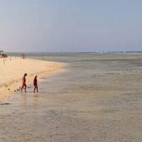 solitaire resort marsa alam