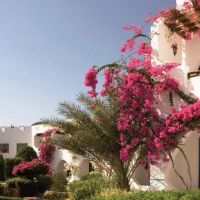 the three corners sea equinox beach resort