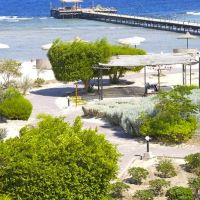 solitaire resort marsa alam
