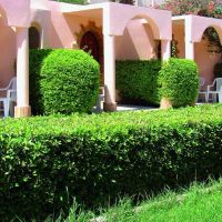 al mashrabiya beach resort