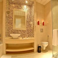 tropitel sahl hasheesh