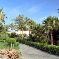 coral beach resort