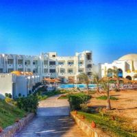 coral sun beach safaga