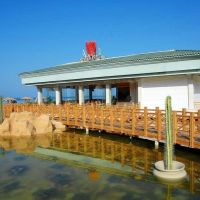 tropitel sahl hasheesh