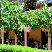 al mashrabiya beach resort