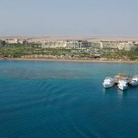 steigenberger al dau beach hotel