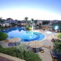 dive inn resort