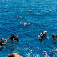 otium hotel amphoras sharm