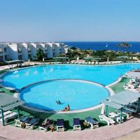 royal paradise resort