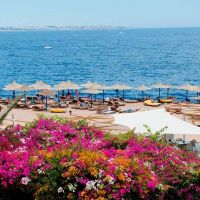 Otium Park Amphoras Blu Resort (ex. shores aloha)