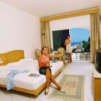 royal paradise resort