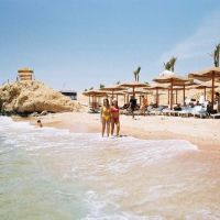 royal paradise resort