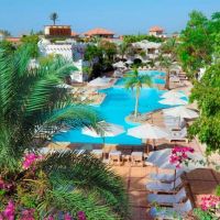 marmara hotel & resort