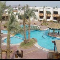 dolphina country club