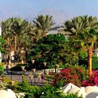 reef oasis beach resort