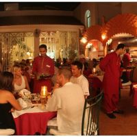 camel dive club & hotel