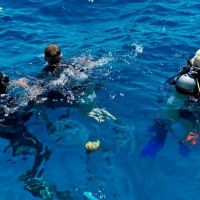 otium hotel amphoras sharm