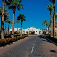 otium hotel amphoras sharm