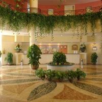 luna sharm