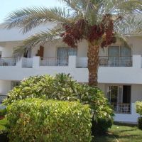 viva sharm hotel