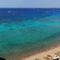 reef oasis beach resort