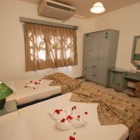 dive inn resort