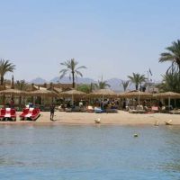 tropicana rosetta & jasmine club hotels