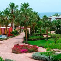 Otium Park Amphoras Blu Resort (ex. shores aloha)
